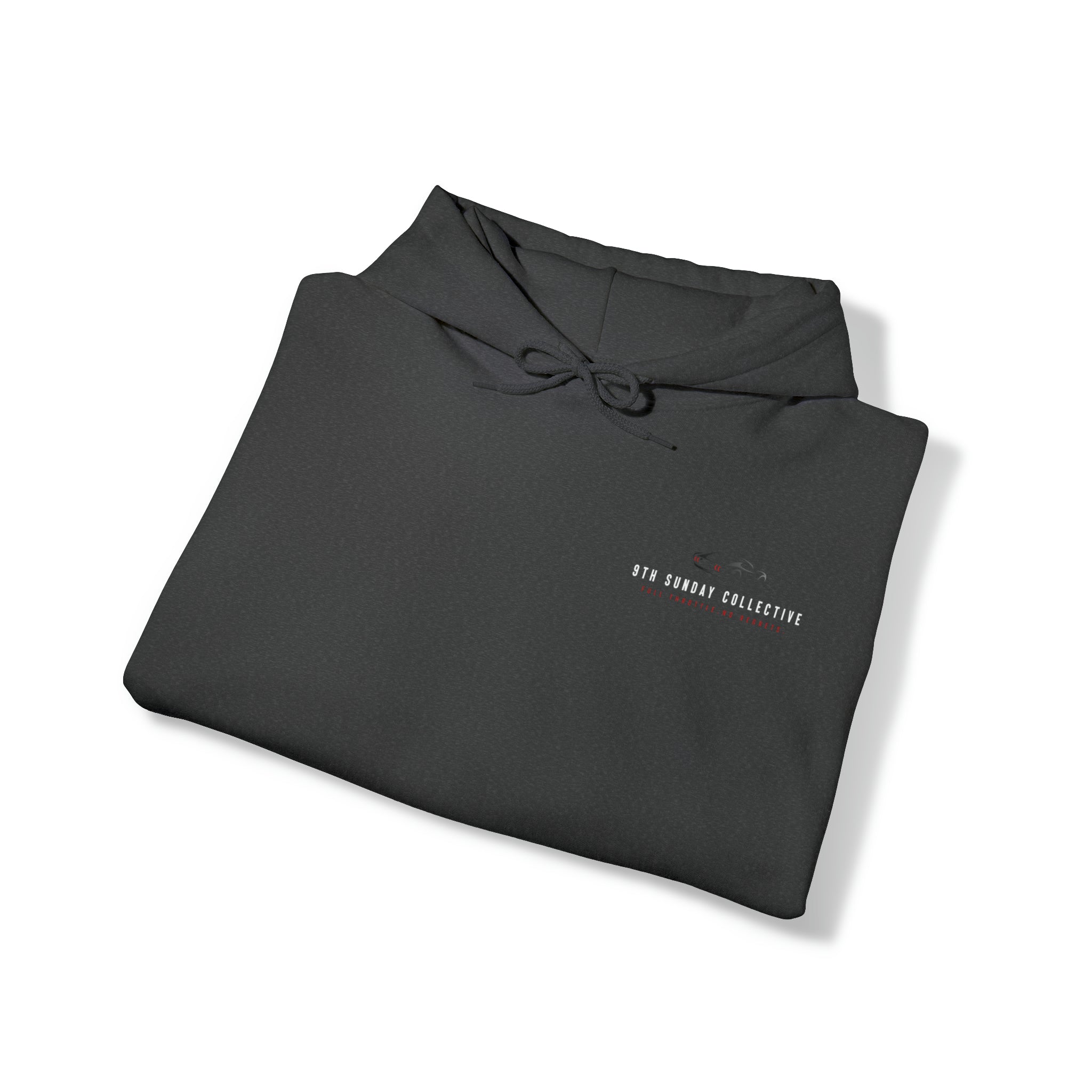 ARE YOU SEEING THIS HOODIE